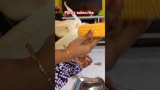 Abbachha abbachha 😍#shorts #corn #song #trendingshorts #youtubeshorts #viralshorts