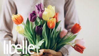 Zó blijven je tulpen en rozen langer vers | LIFEHACKS | LIBELLE TV