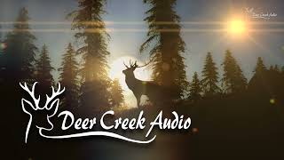 Deer Creek Audio - Digital Signal Processing Products