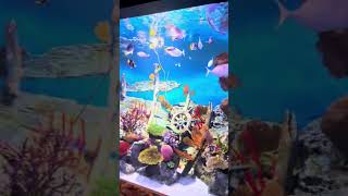 #animation #baby #babylullabymusic #babymusic #babylullaby #lullabyforbabies #fish #fishing ng