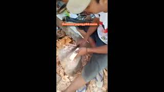 TUTORIAL PROSES PEMBUATAN GAGANG GOLOK MACAN | MADE IN ORANG SUBANG