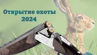 ОТКРЫТИЕ ОХОТЫ НА ЗАЙЦА 2024