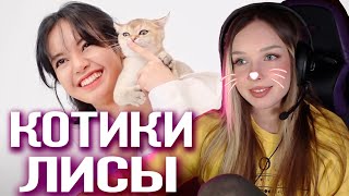 LILI's FILM - Introducing the L Family Реакция