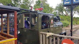 tour dans le train à vapeur de Pairi Daiza