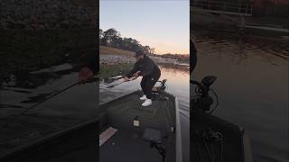 Swimbait fishing #crawfish #bassfishing #bass #fishing #fish #fishingvideo #water #marsh