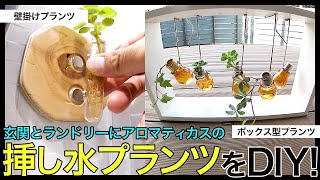 アロマティカスの挿し水ディスプレイプランツをDIY！ゴキブリ対策として水回りのランドリーに壁掛けできる物と玄関の小窓におけるボックス型の水差しプランツを100均アイテムなどを使ってDIY！初心者