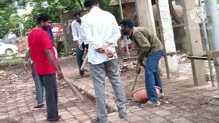 From Trash to Treasure: The Anand Nagar Bus Stop Revolution