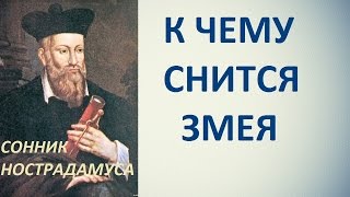 К чему снится змея. Сонник Нострадамуса. Толкование снов.