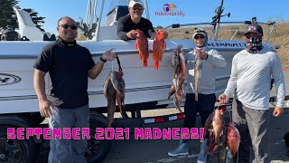 Half Moon Bay Fishing offshore Glass day Forecast Madness.