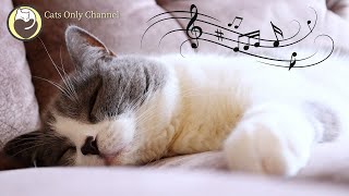 Relaxing Music for Cats - Peaceful Piano Music with Cat Purring Sounds