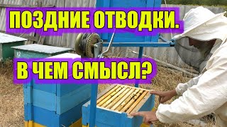 ПОЗДНИЕ ОТВОДКИ. В ЧЕМ СМЫСЛ?