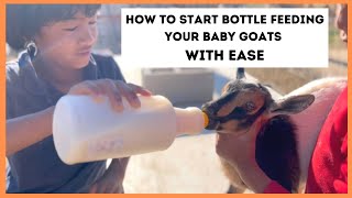 How To Bottle Feed Your Baby Goats With Ease🍼 | Tips & Tricks On How To Switch From Mama To Bottle