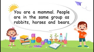 What are mammals?