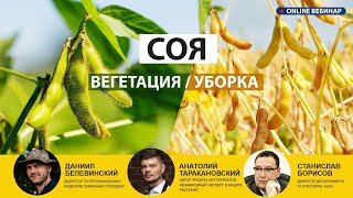 Соя - ВЕГЕТАЦИЯ/УБОРКА