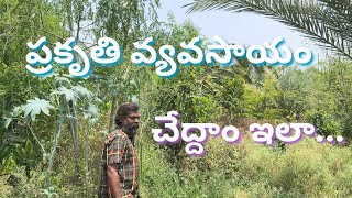 నష్టాలు లేని ప్రకృతి వ్యవసాయం  | Organic Farming | Natural Farming  for beginners