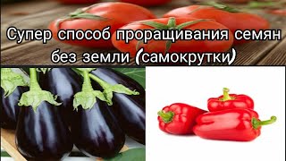 Супер способ проращивания семян без земли! Простой способ который никогда не подведет.