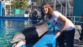 SeaWorld Day with Sigma Kappa ZM Advisory Board