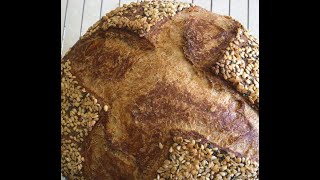 Let's Bake 50-50 Whole Wheat Bread