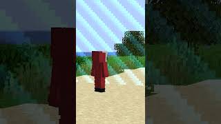 Duży błąd W MINECRAFT...!  #minecraft #lifesteal #mc #viralvideo #mcpe #plemiesmp #minecraftfacts