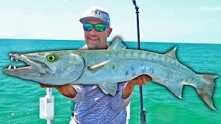 GIANT BARRACUDA In The Florida Keys!!!