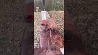 Farmall M plowing with 4 bottom on Friday Night #antiquetractors #farmall #plowing