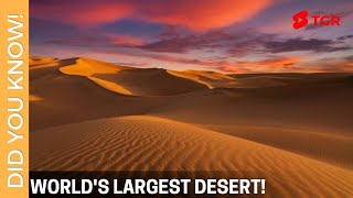 World Largest Desert | #ShortVideo 112