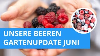 Gartenupdate: Beeren! Was wächst bei uns? #gartenliebe #beeren #gartenrundgang