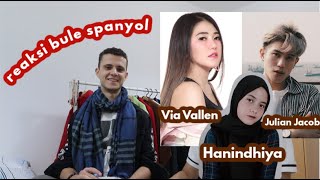 REAKSI COWOK LUAR NEGERI LIAT VIA VALLEN, HANIN DHIYA, JULIAN JACOB + BAHASA SPANYOL LAGU DESPACITO