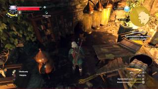 Wiedźmin 3 : Dziki gon #23 Jaskinia Filippy, Podróż do Skellige PS4 gameplay