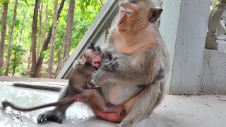 How Hungry Of This Poor Little Bab, Mother Eats Foods And Left Baby Hungry Till Cry