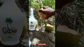 Coconut water And Cabo Rum Combination | Alcohol Whatsapp Status | Drinking Status | #shorts #short