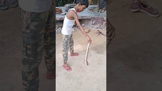 छोटे🐍बच्चे ने सर्प किया रेस्क्यू!!#snakerescueteam #shortsvideo #shortsfeed #shorts #short