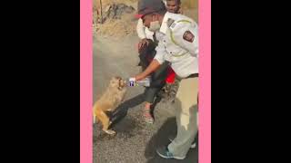 A traffic cop in Maharashtra, India, offering water to a thirsty monkey. #viralvideo