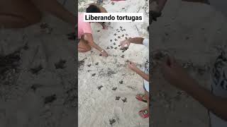 Liberando tortugas en #TelchacPuerto