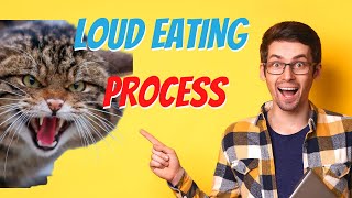 What Do Cats Say When They Eat? - Find out the cat growls!