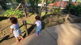 Bioparque com avós de fortaleza