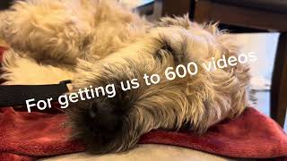 The 600th video (400 more and we get to 1k)