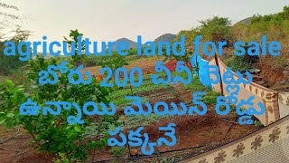 agriculture land for sale ఒక బోరు 200 శీనీ చెట్లు ఉన్నాయి మెయిన్ రోడ్డు పక్కనె ల్యాండ్