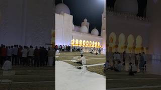 Inside view of grand Mosque Abu Dhabi #shorts #mosque #viral