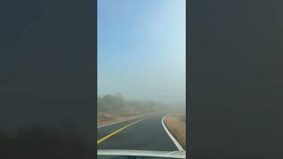 Driving through the morning fog #roadtrip #chill #travel