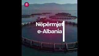 Aplikoni, nëpërmjet e-Albania, për licenca në fermat e akuakulturës