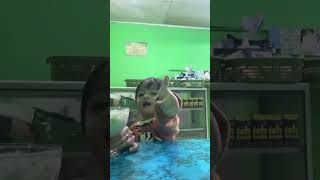 SEGER❗️❗️adek makan es buah #shorts #shortsviral #funny #funnyvideo #anaklucu #makan #esbuah