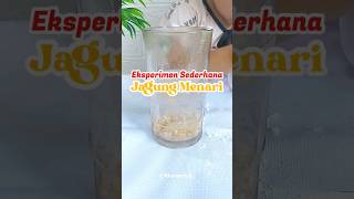 Eksperimen Sederhana | Jagung menari #funlearning #shorts #sensoryplay