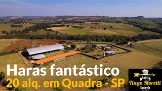 Haras de 20 alqueires em Quadra-SP