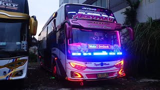 Cinematic bus malam full Strobo terbaru | cocok buat Story WA