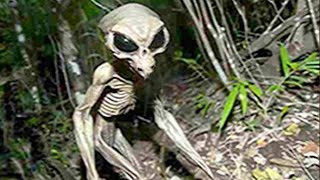 SHOCKING Alien Encounters That Will Leave You Speechless