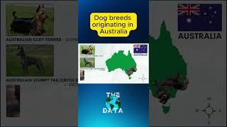 Dog Breeds Originating in Australia #dogbreeds