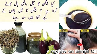 Does Brinjal Oil Really Work? Kia Baingan Ka Tail Baal Kaly Karta Hy ? | A Review of Brinjal Oil