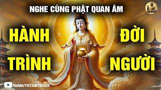 Đối Mặt Thử Thách Trong Hành Trình Đời Người: Cách Vượt Qua Đau Khổ