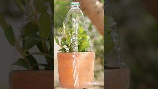 Pot hanger With Plastic Bottle